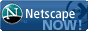 Download the Netscape Browser